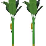 artifical banana tree home decor pooja decor 3 ft 1pair