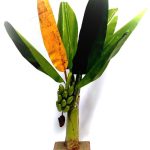 banana tree home decor 1 ft