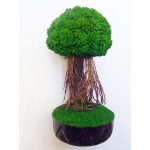 handicrafts bonsai tree 1 ft