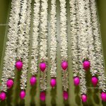 Lotus Hanging 7 showpieces for Stage Decor, Handmade Wall Decoration, Hanging for...